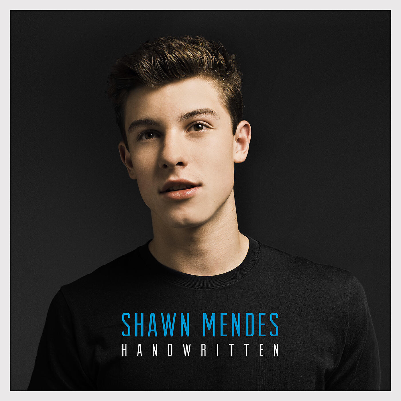 Shawn Mendes - A Little Too Much