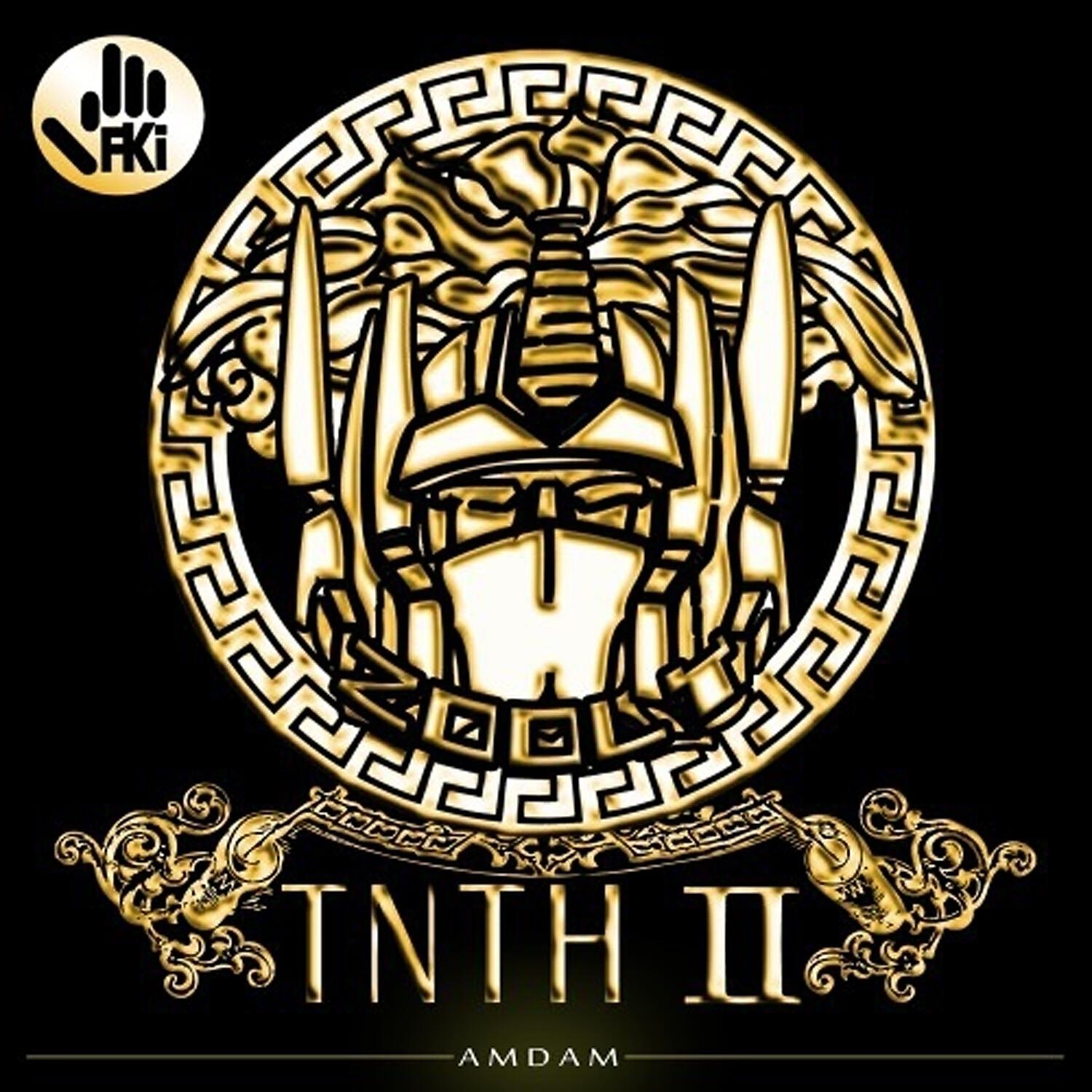 FKi - Amdam II (DIP)