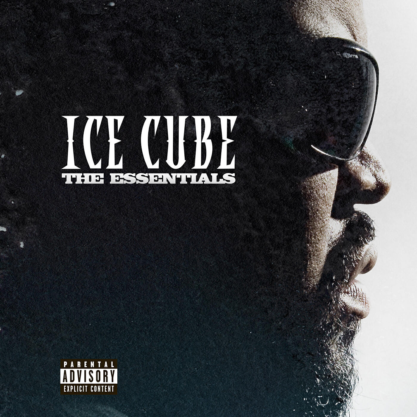 Ice Cube - Why We Thugs/Smoke Some Weed (Medley/Live)