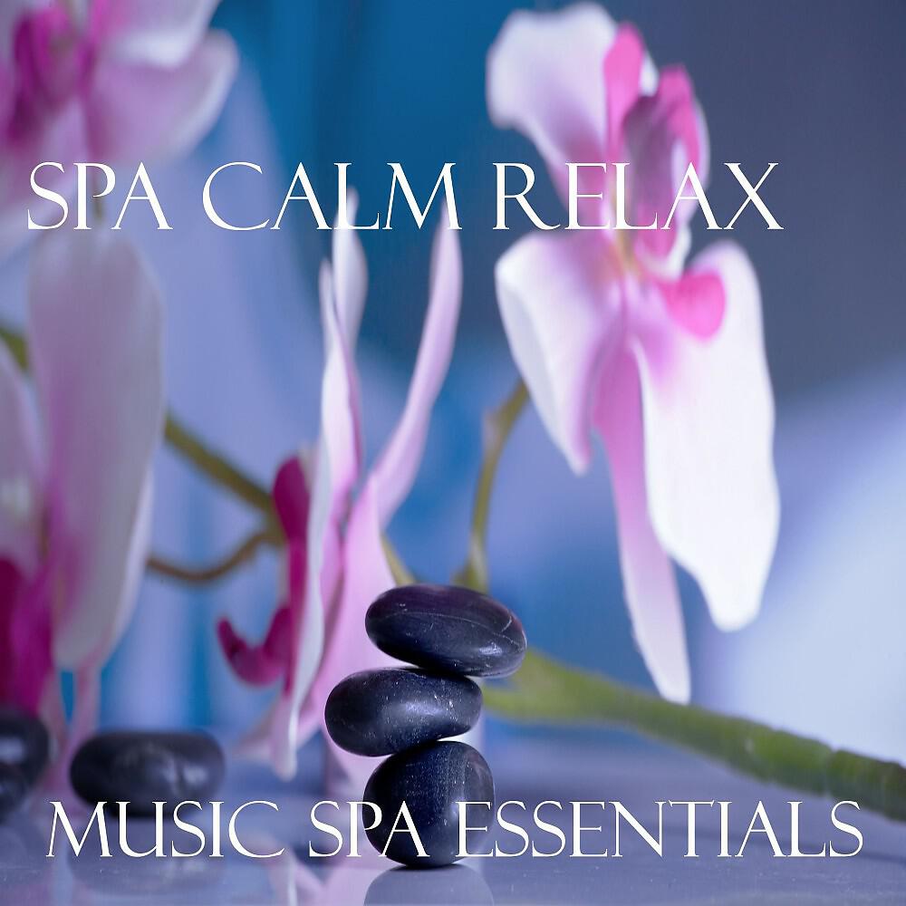 MUSIC SPA ESSENTIALS - Source Nature Essence