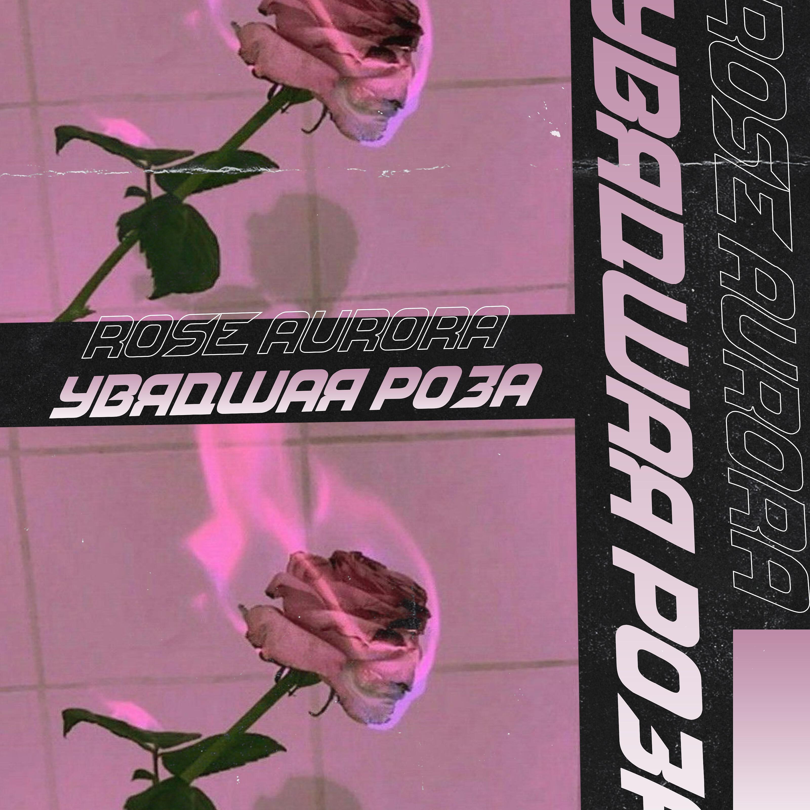 Rose Aurora - Смузи