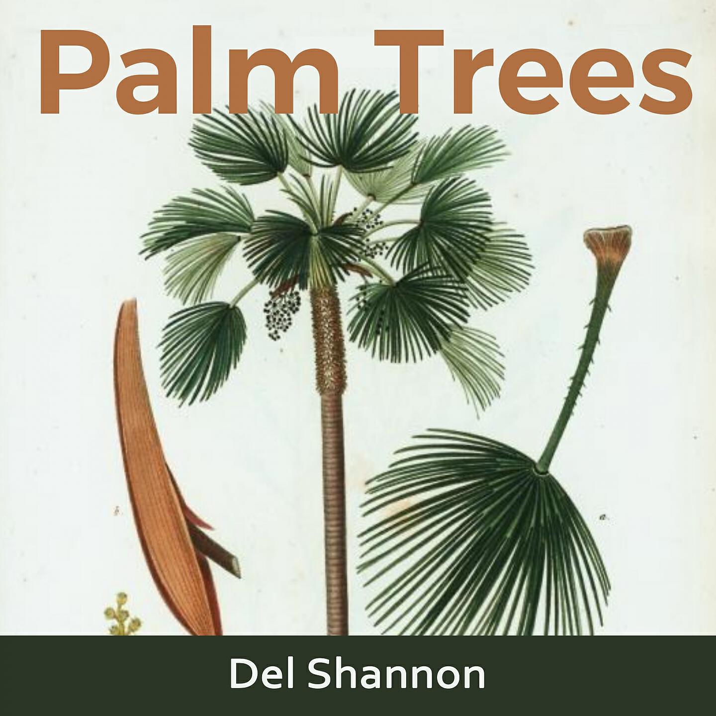 Del Shannon - I Don't Care Anymore