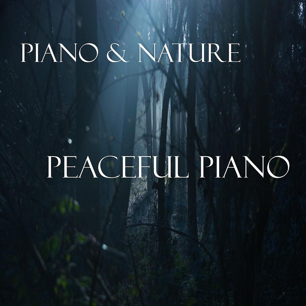 Piano - Loveless
