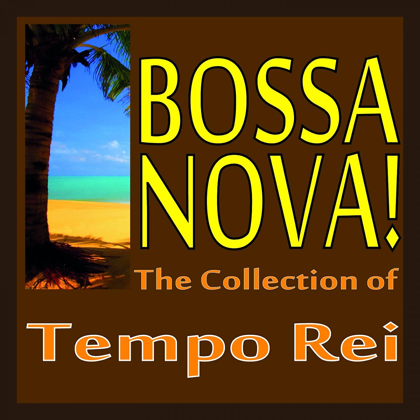 Tempo Rei - Festa para Um Rei Negro