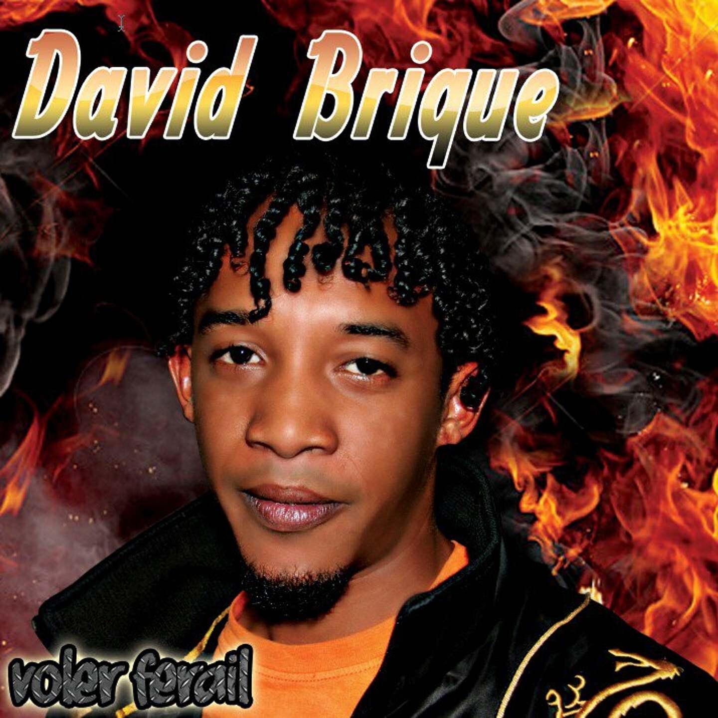 David Brique - Rose