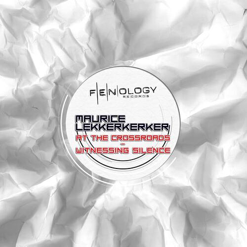 Maurice Lekkerkerker - Witnessing Silence (Radio Edit)
