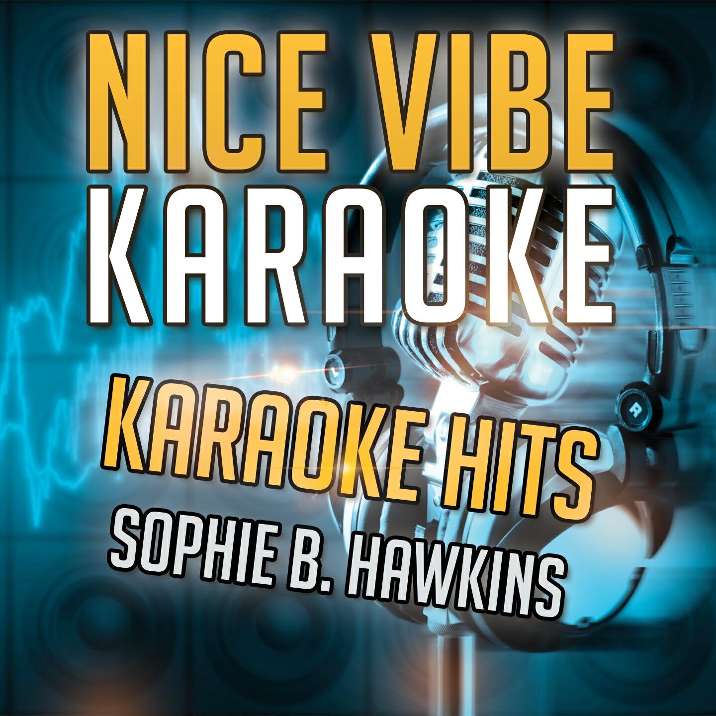 Nice Vibe - Lose Your Way (Karaoke Version) (Originally Performed By Sophie B. Hawkins)