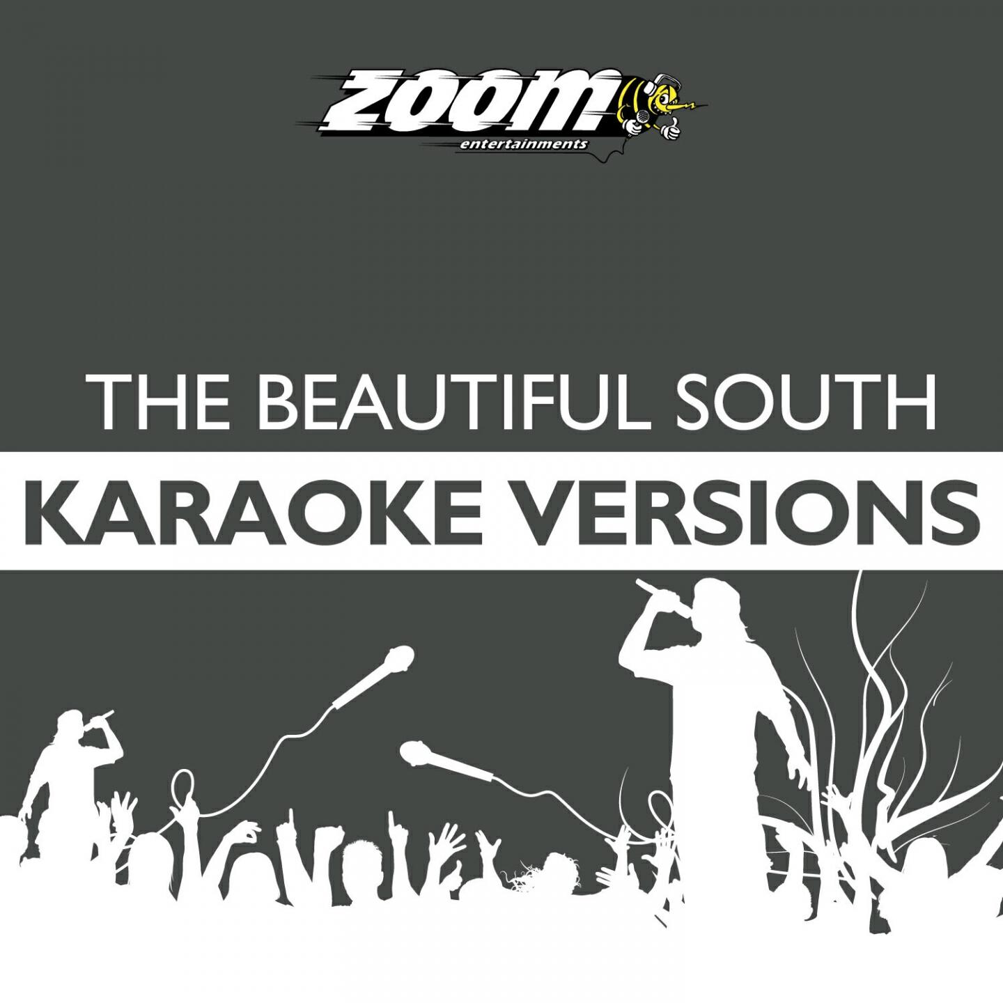 Zoom Karaoke - Don't Marry Her (Karaoke Version) [Originally Performed By The Beautiful South]