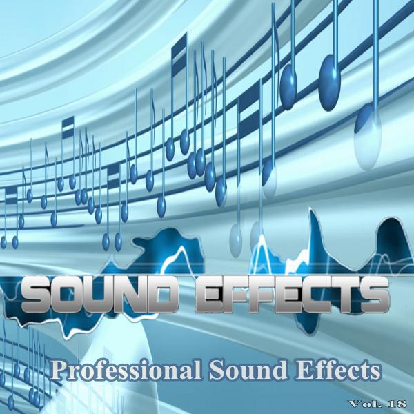 Professional Sound Effects Group - Passing Train