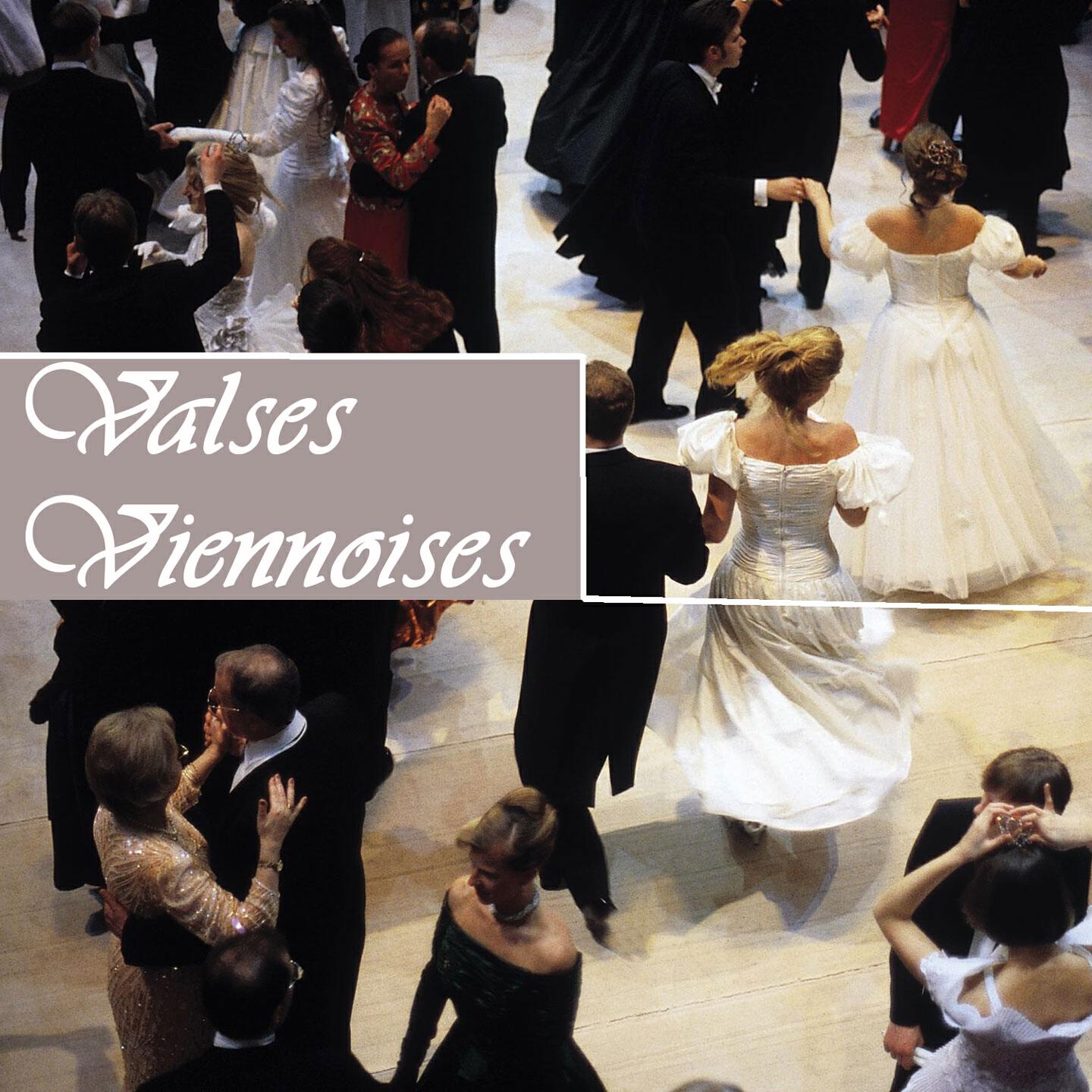 Sinfonietta Orchestra Vienna - Amour, gloire et beauté, Op. 3