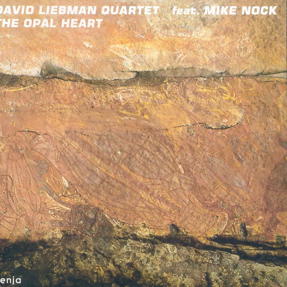 David Liebman - The Opal Hearted Aborigine