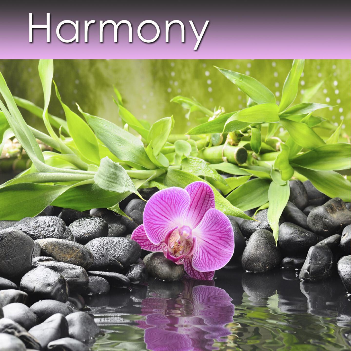 Dr. Harry Henshaw - Harmony (Relaxation Music for Deep Relaxation, Stress and Health)