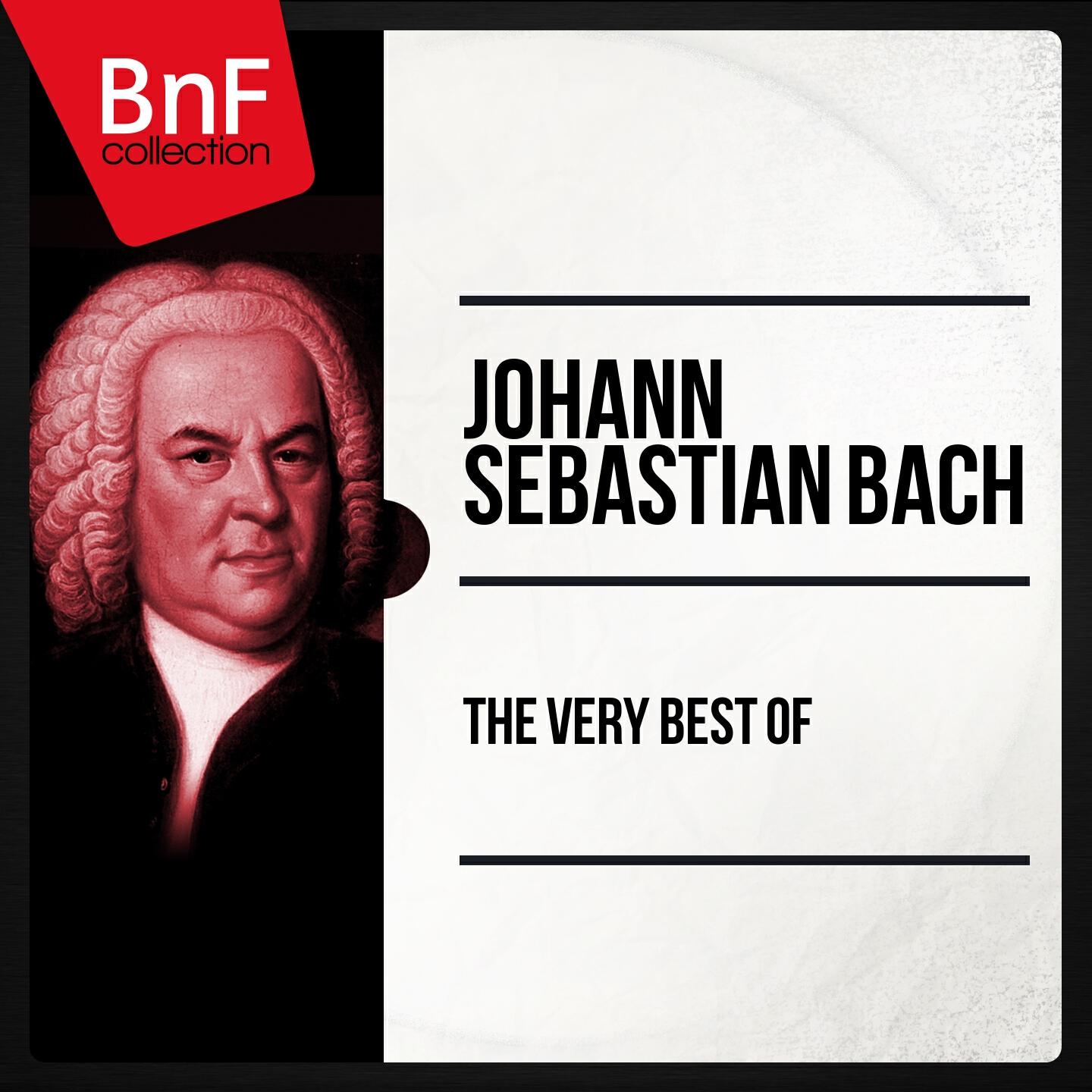 Schola Cantorum Basiliensis - Brandenburg Concerto No. 4 in G Major, BWV 1049: I. Allegro
