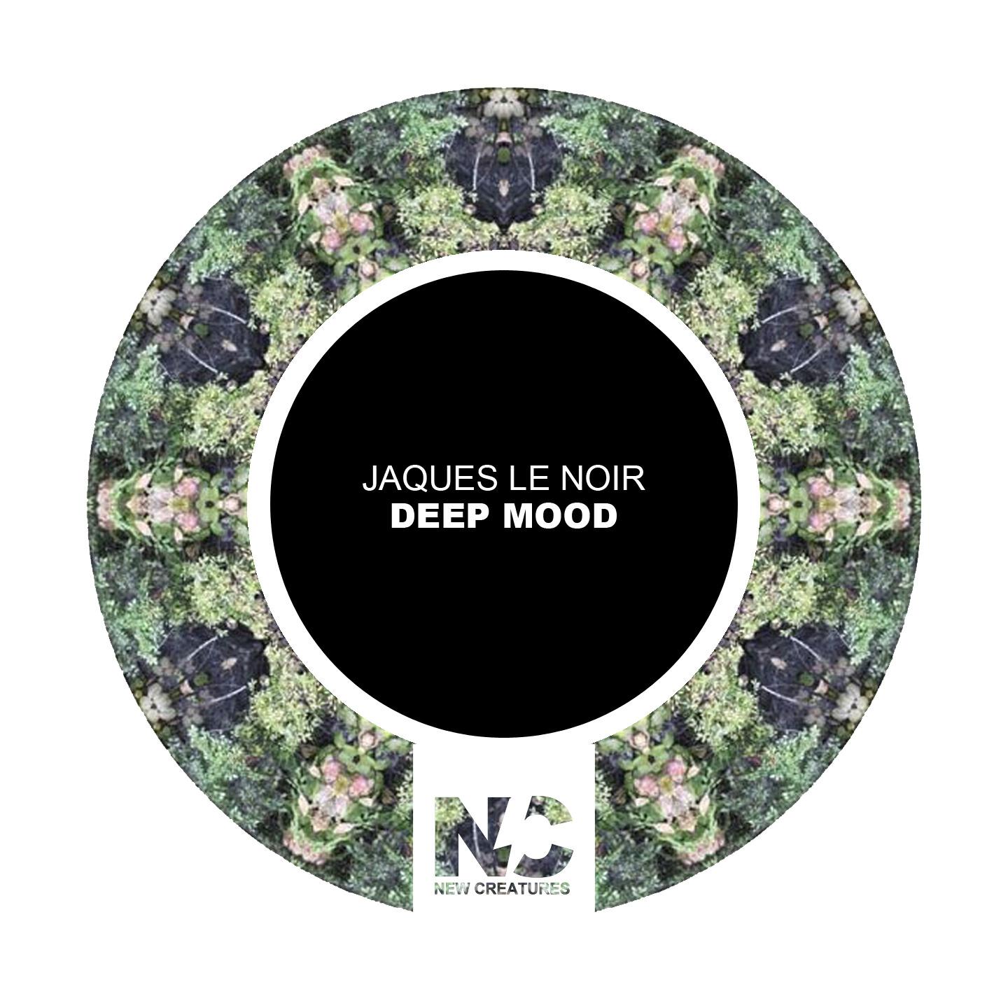 Jaques Le Noir - Never (Glücklich)