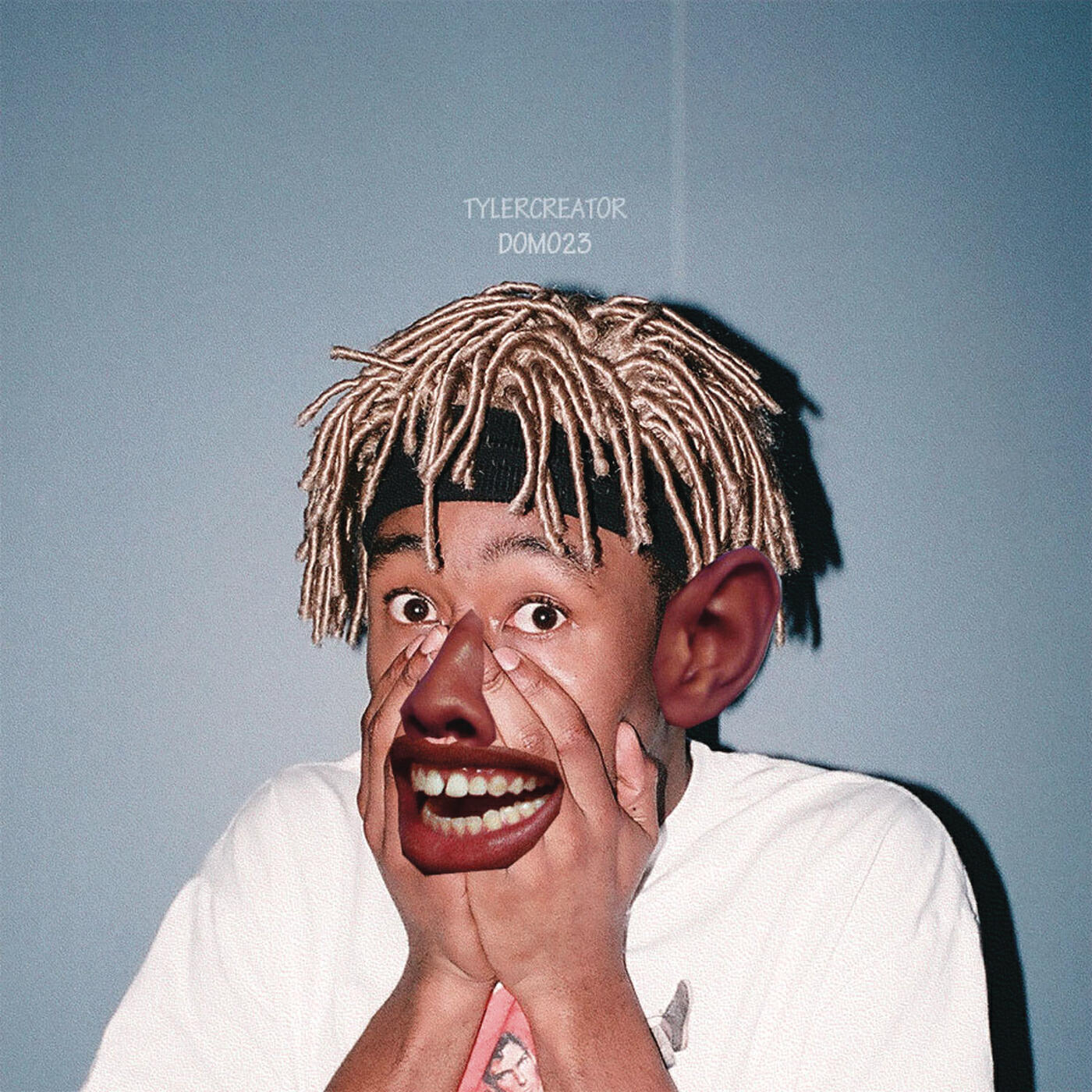 Tyler, The Creator - Domo23