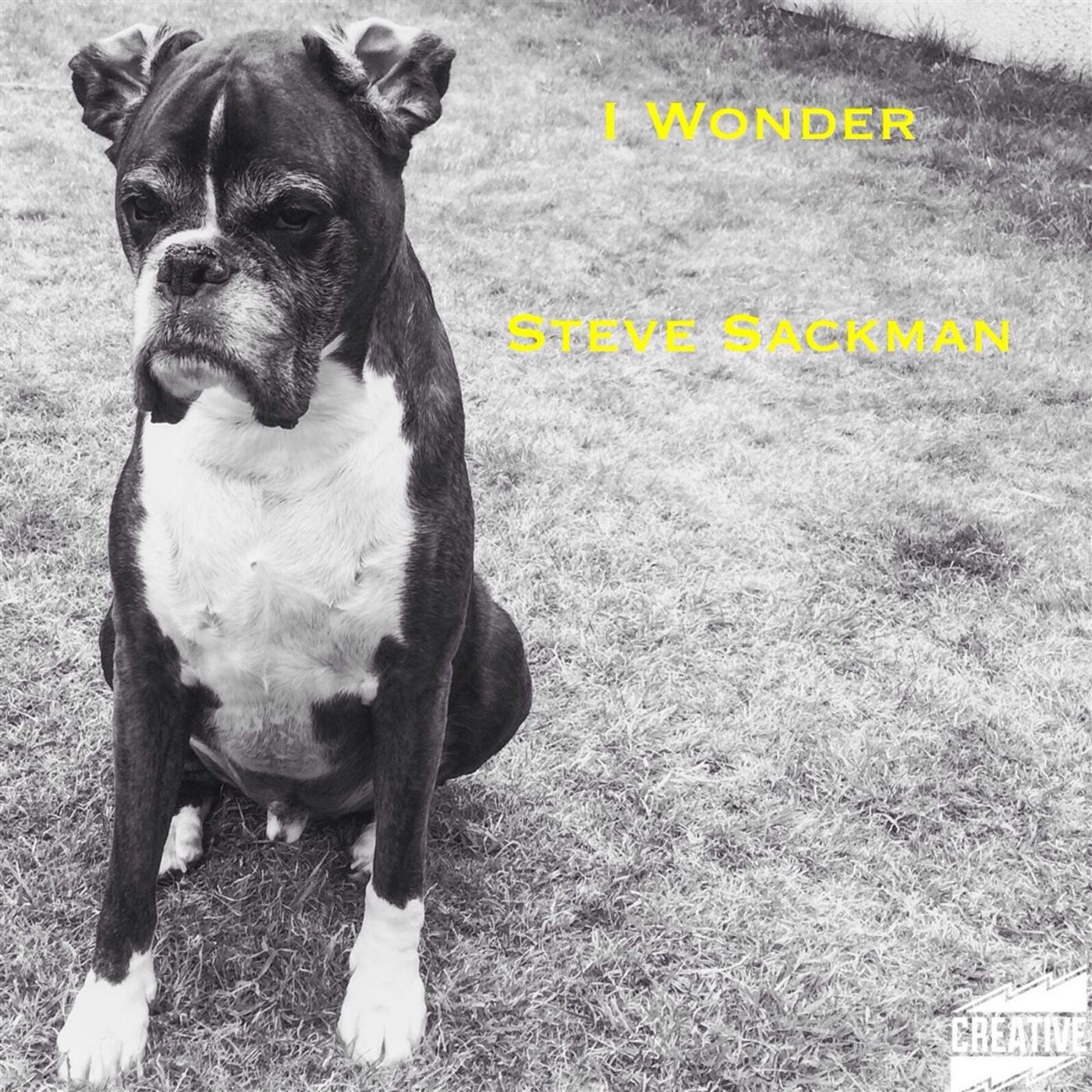 Steve Sackman - I Wonder