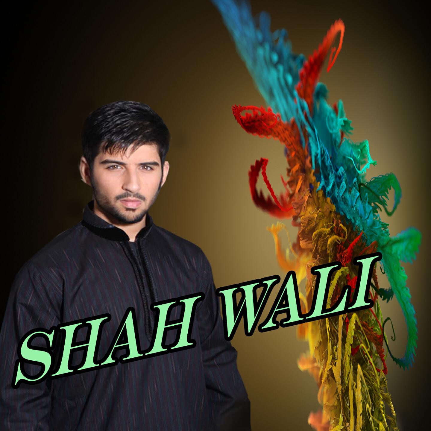 Shah Wali - Nan Yerata