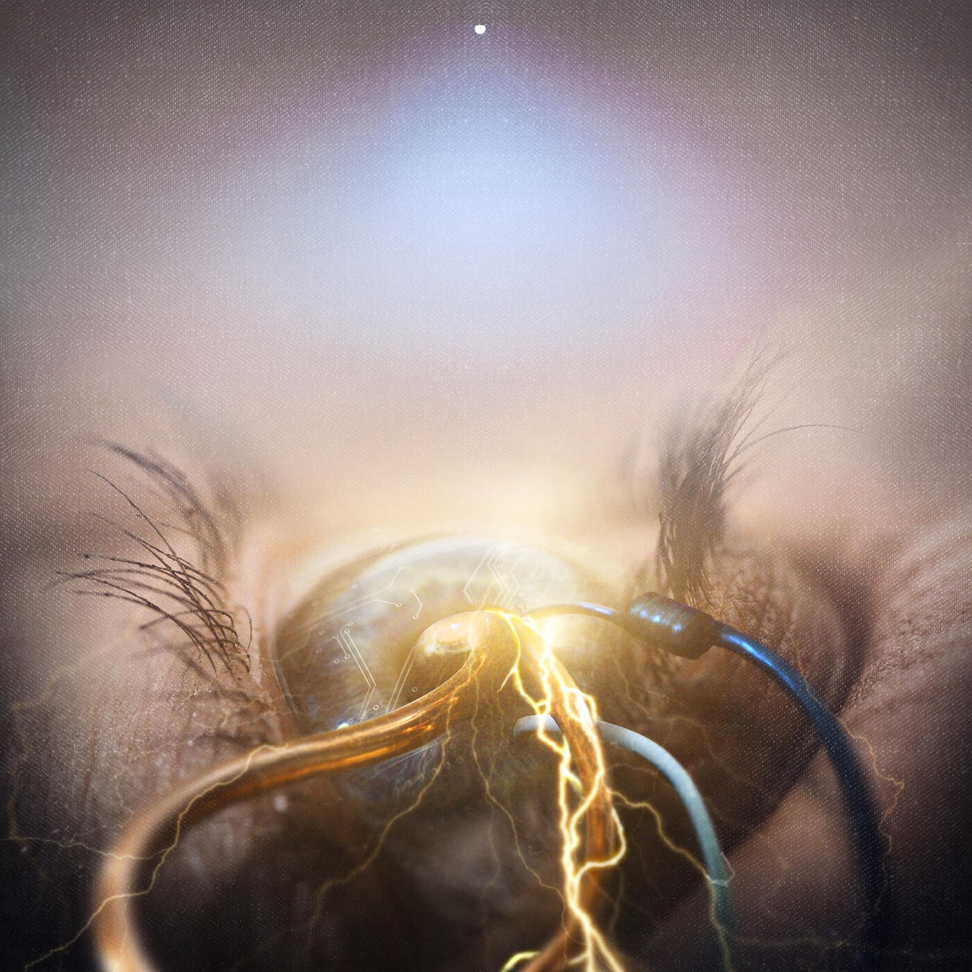 The Agonist - The Perfect Embodiment