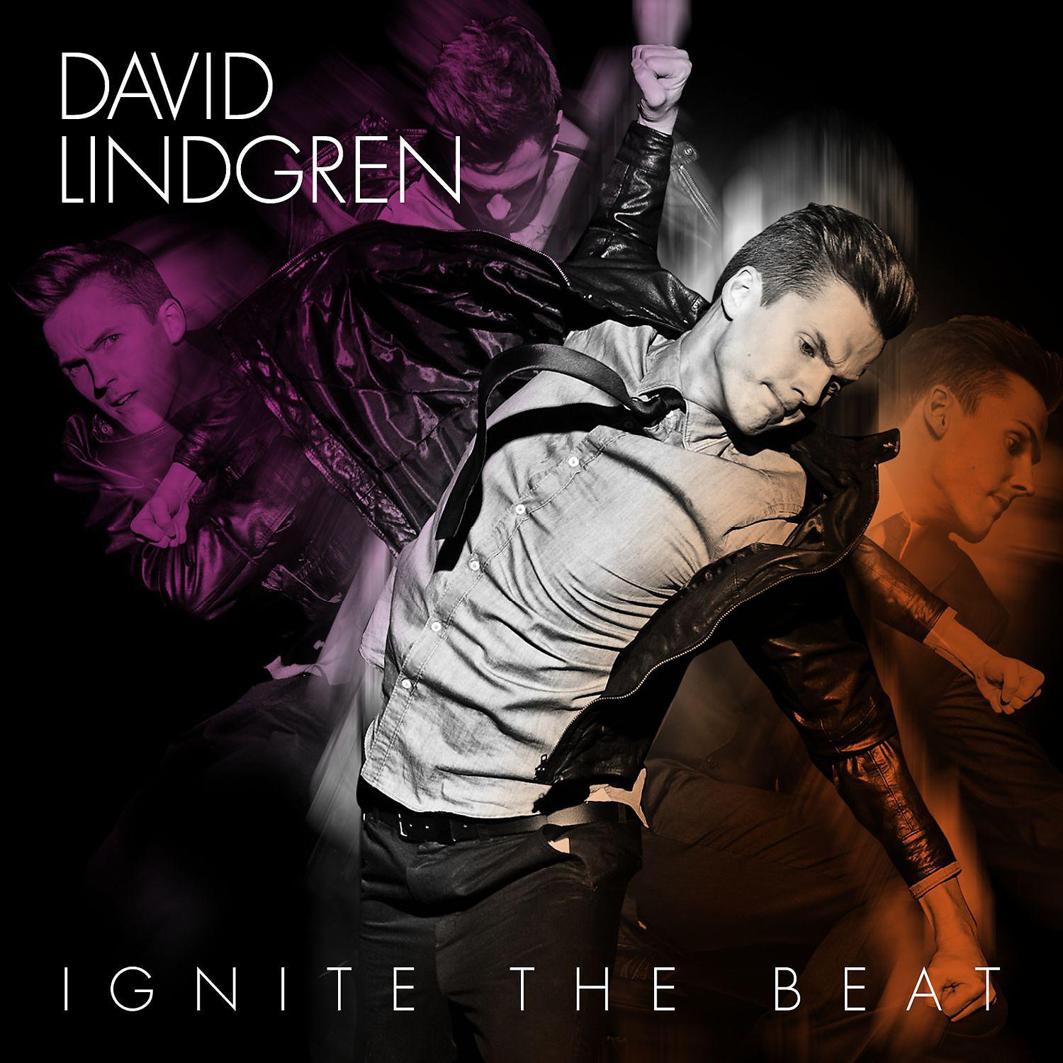 David Lindgren - Intro