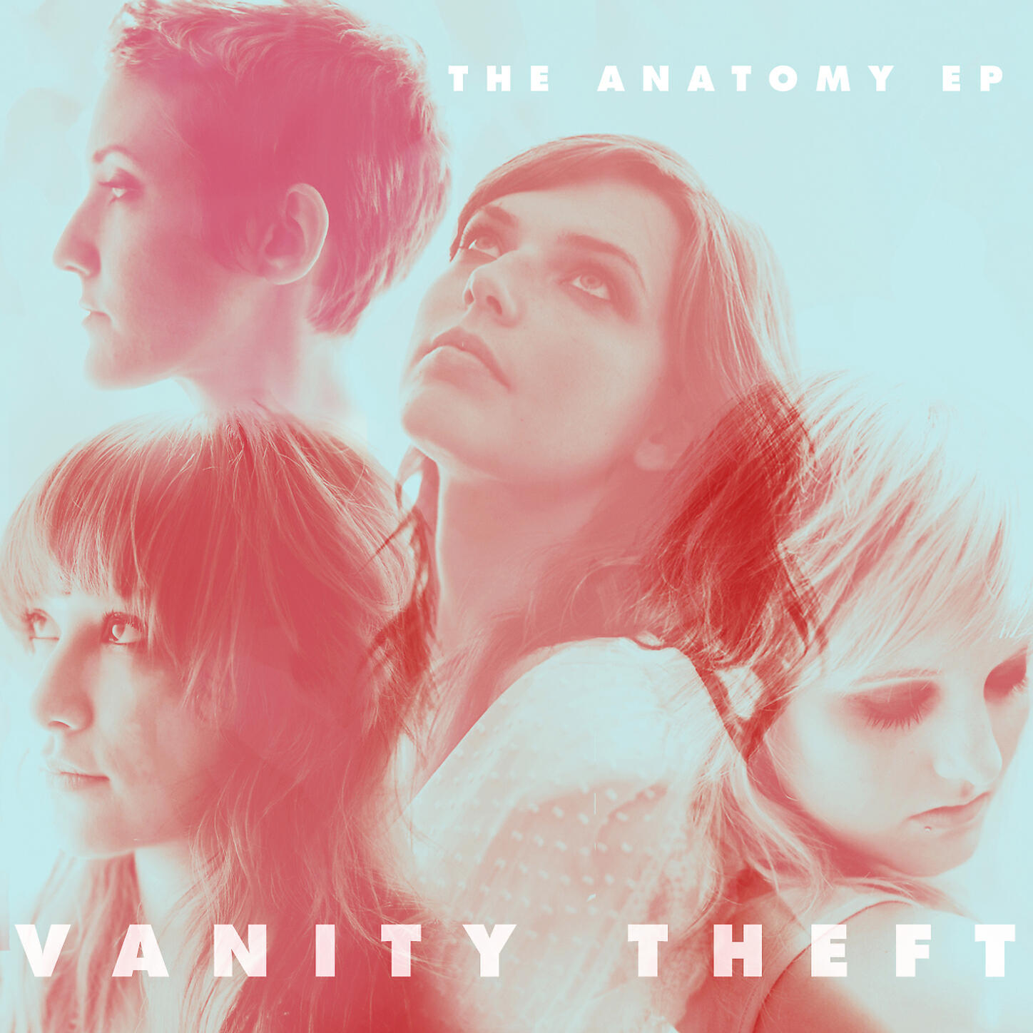 Vanity Theft - Limb From Limb