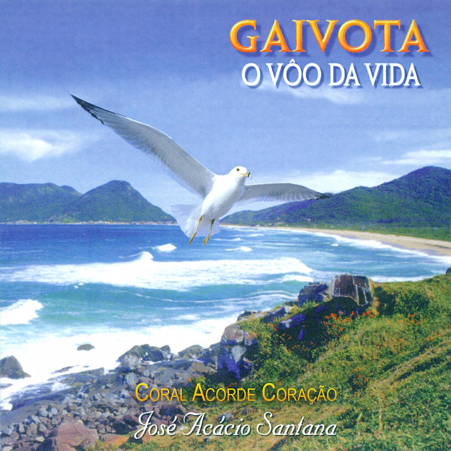 José Acácio Santana - Ponto de Chegada