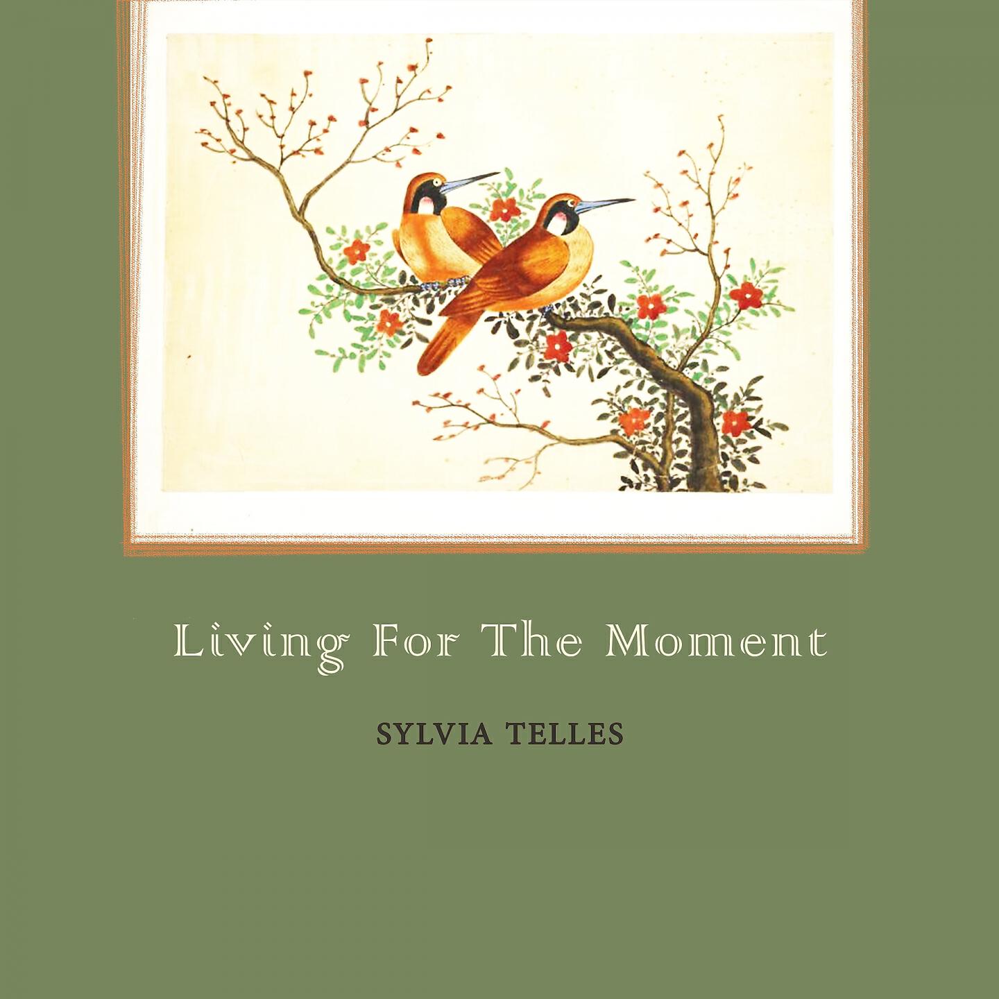Sylvia Telles - Meu Mundo E Voce