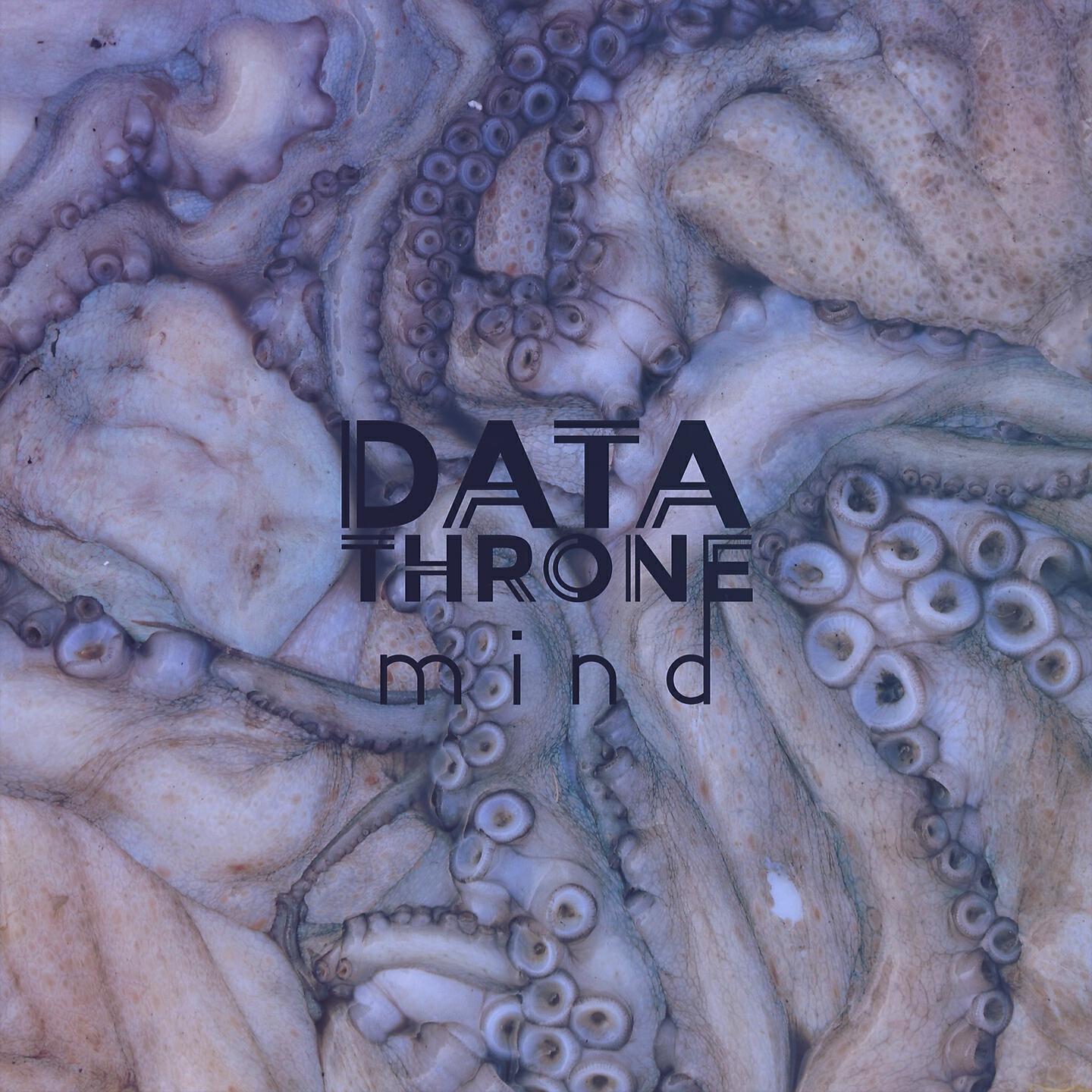 Data Throne - Artemis Terminal