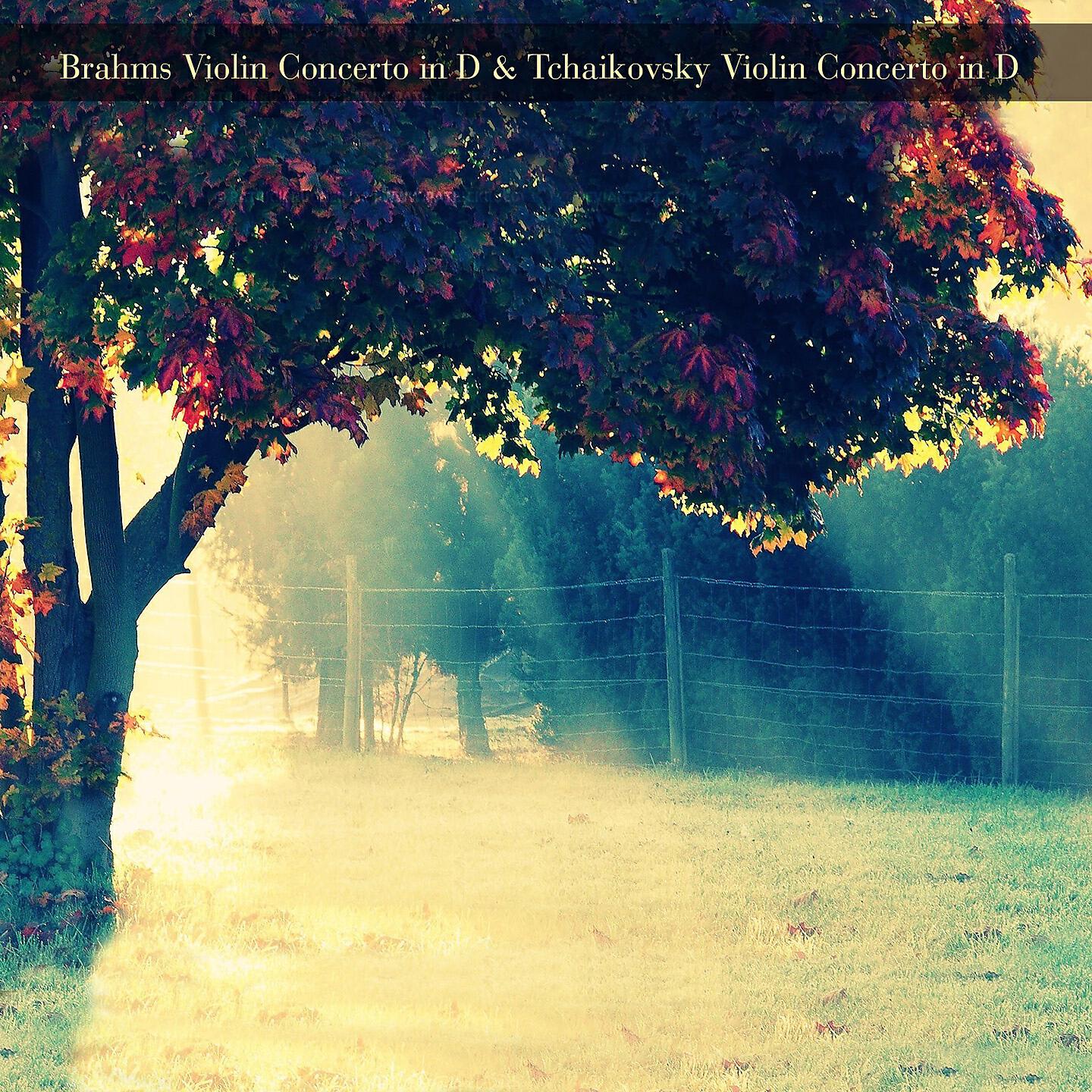 Chicago Symphony Orchestra - Violin Concerto in D Major, Op. 77: I. Allegro non troppo