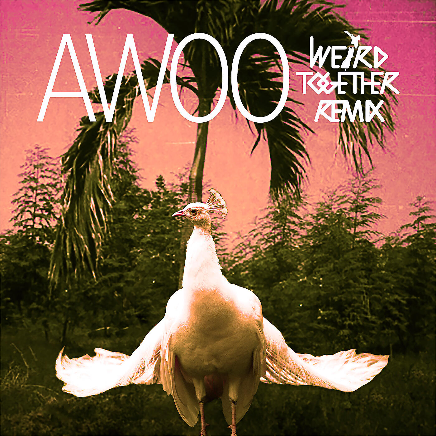 Sofi Tukker - Awoo (Weird Together Remix)