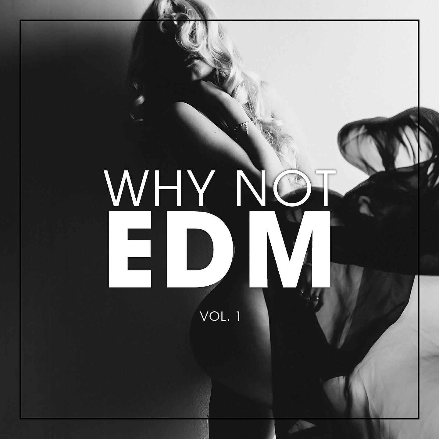 Flip Capella - Everybody Raise Your Hands