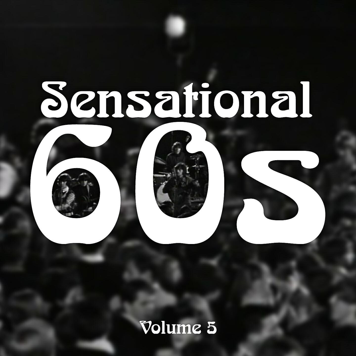 Sensational 60's - Hold Tight
