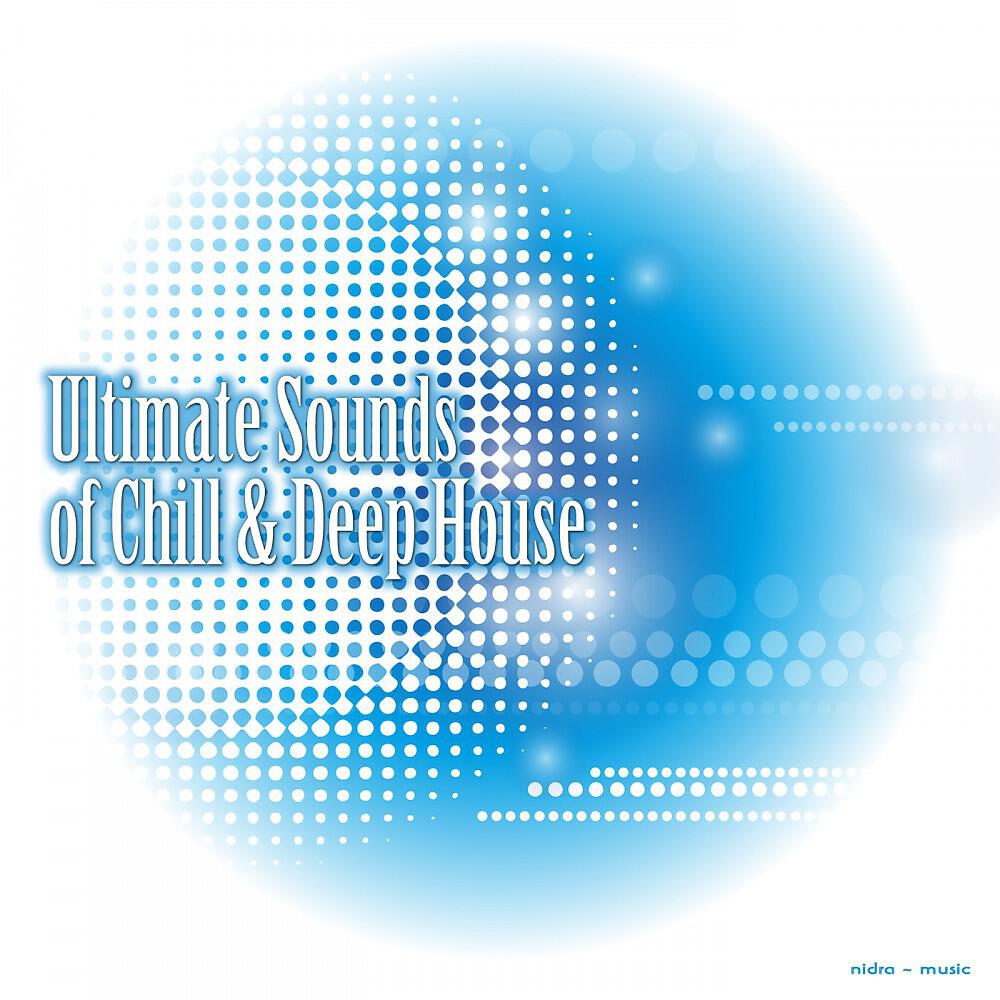 Self Explanatory - Me & Biscuits