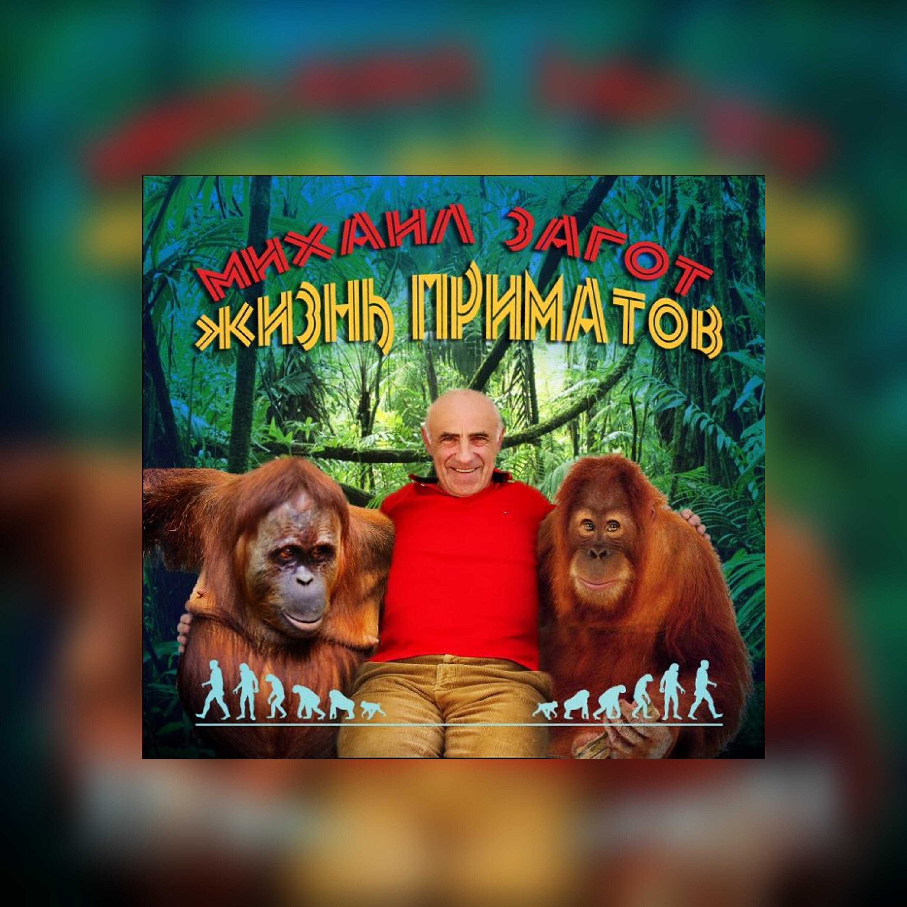 Михаил Загот - Случайная встреча
