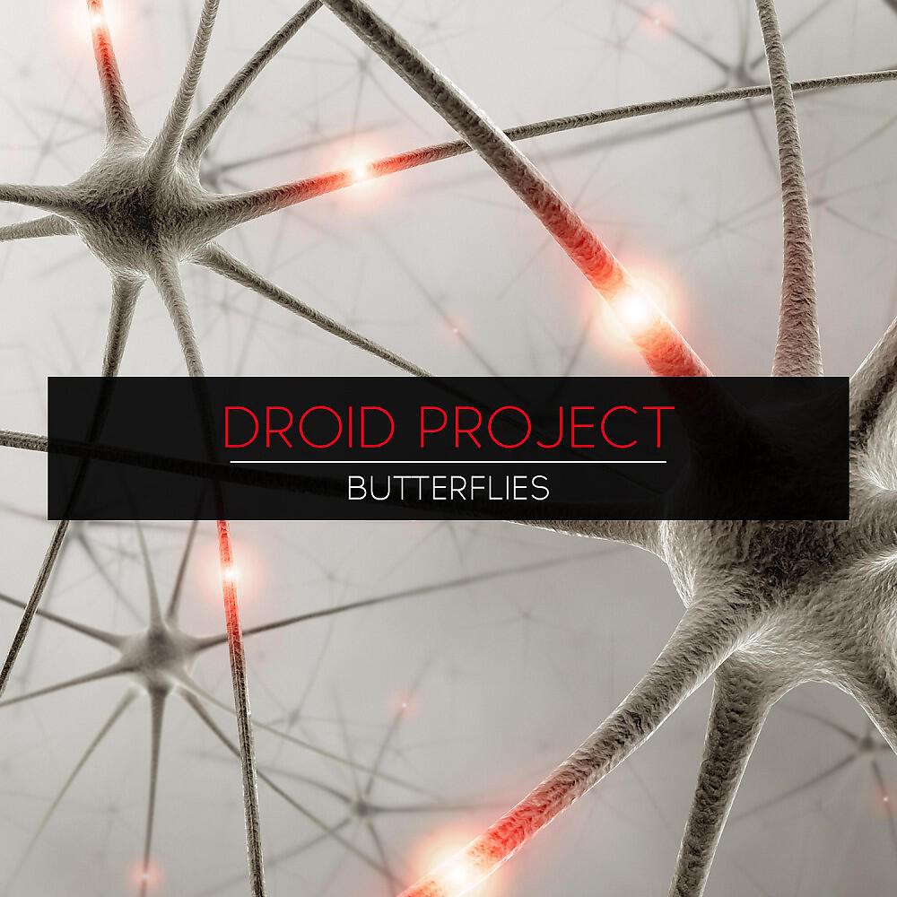 Droid Project - Butterflies (Original Mix)