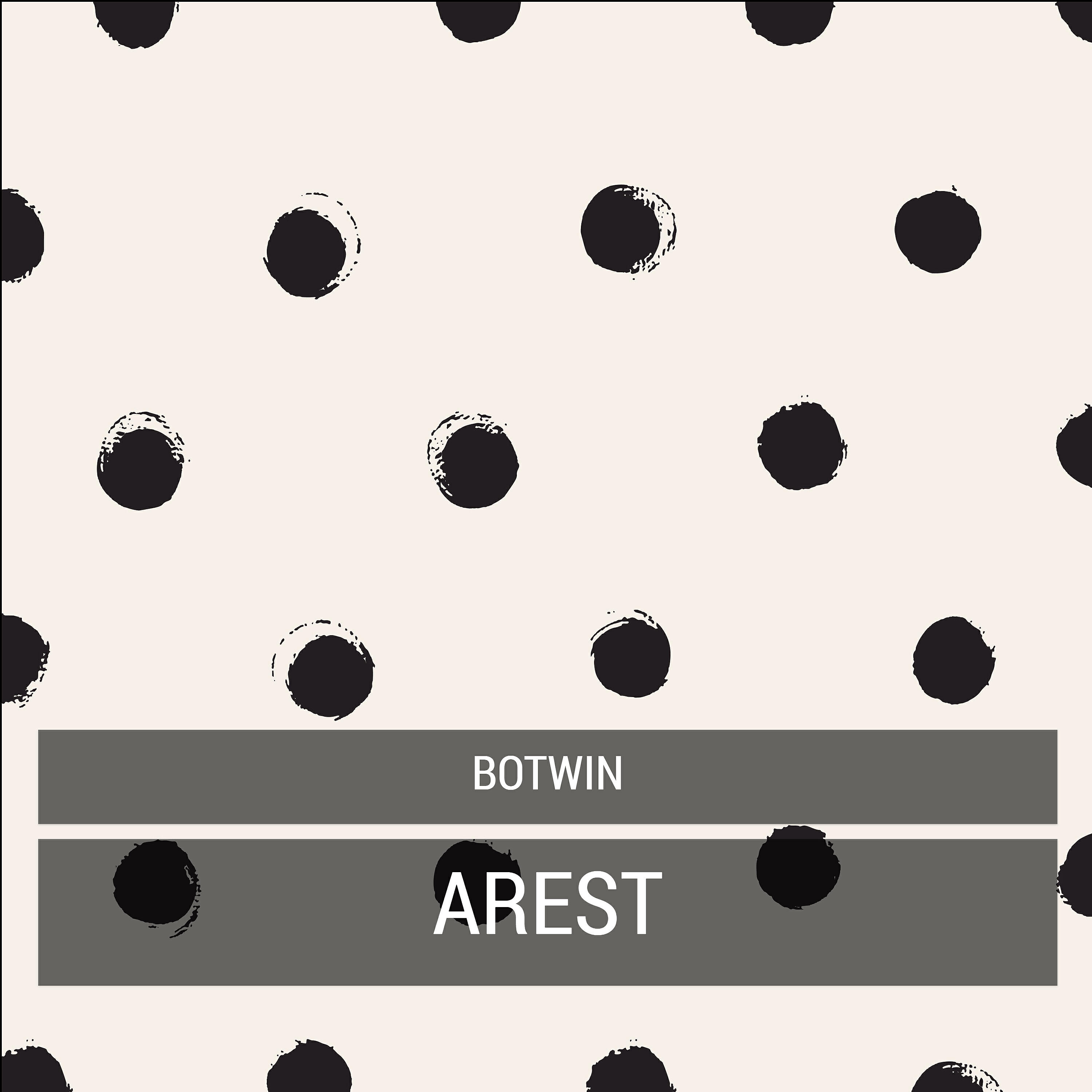 Botwin - Piano Roll