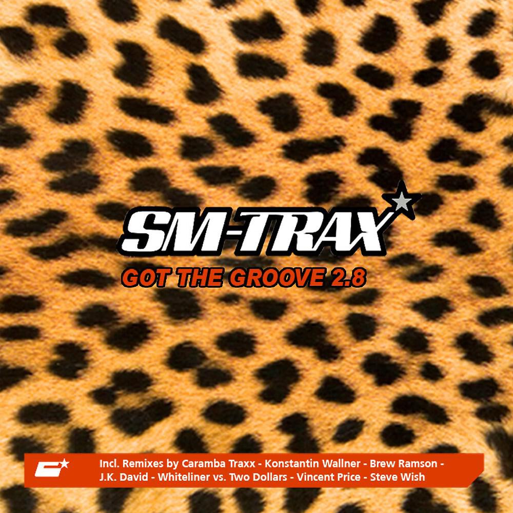 SM-Trax - Got the Groove 2.8 (Brew Ramson Remix)
