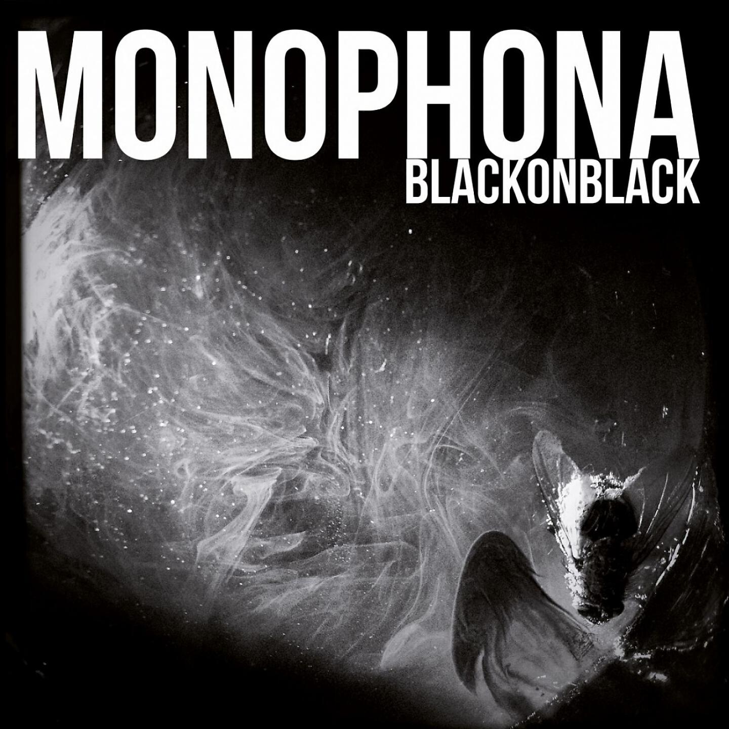 MONOPHONA - Forest of Wonders