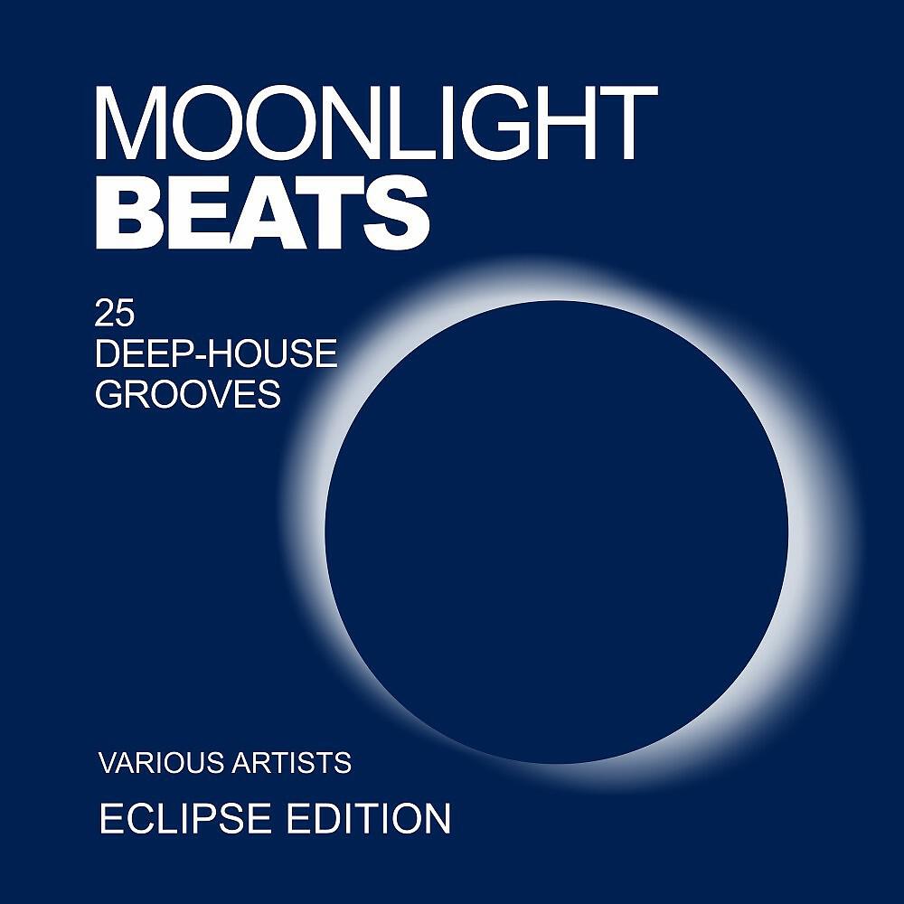 House Vicious - Summer Leaves (Original Mix)