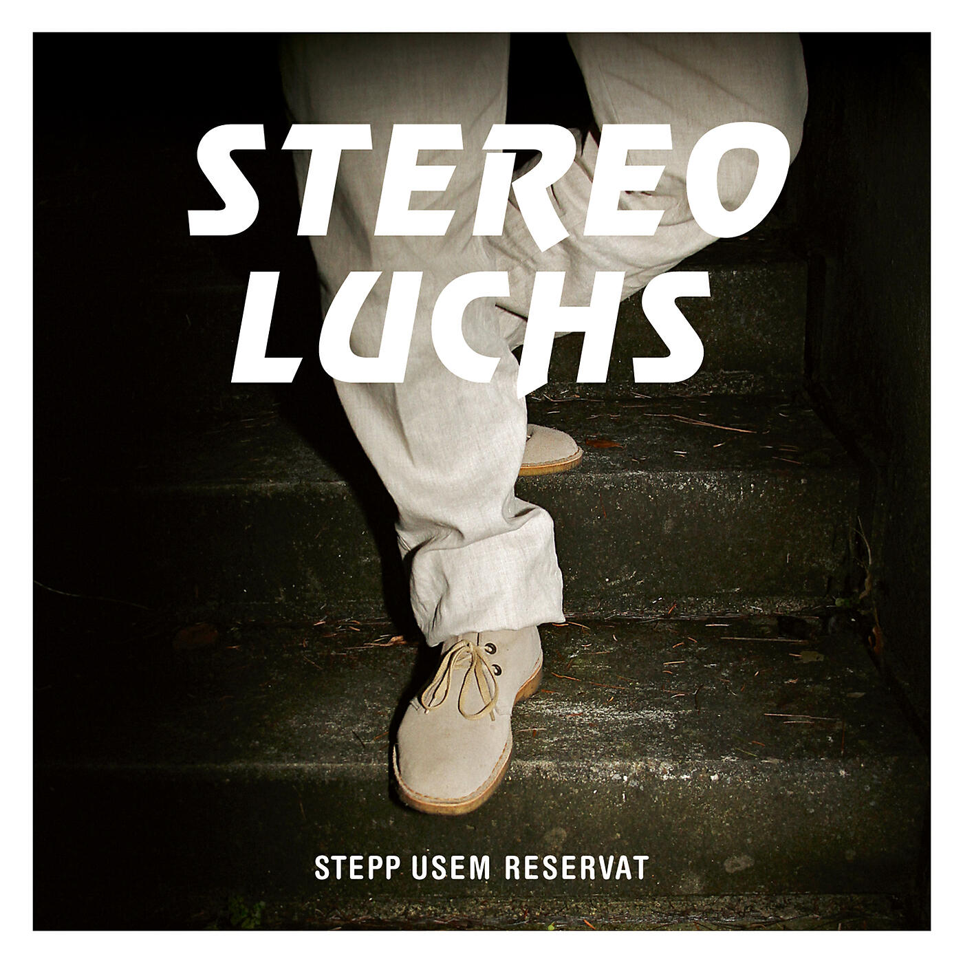 Stereo Luchs - Artist Linkup