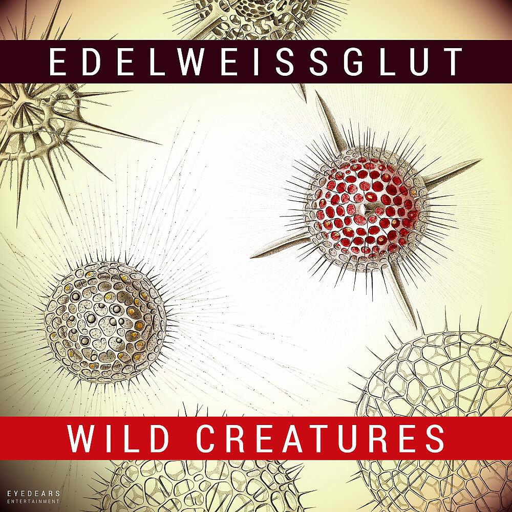 Edelweissglut - Ectoplasm