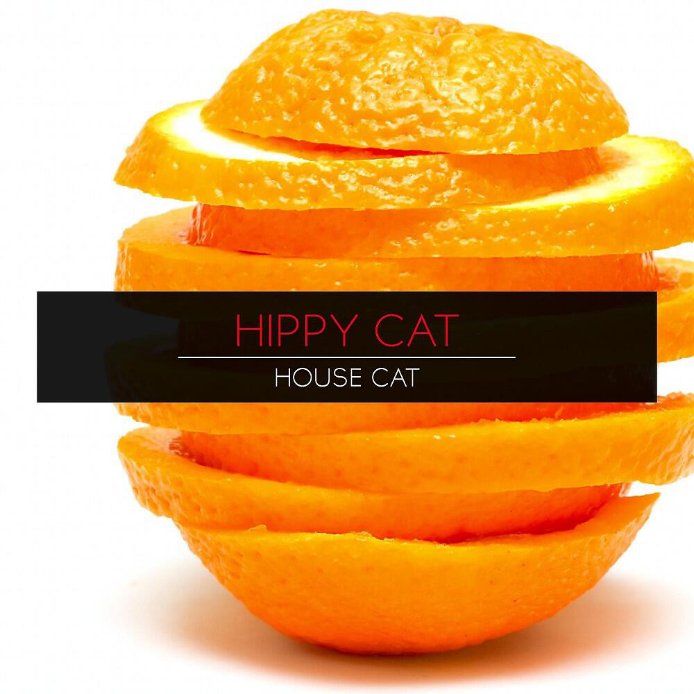 Hippy Cat - House Cat (Original Mix)