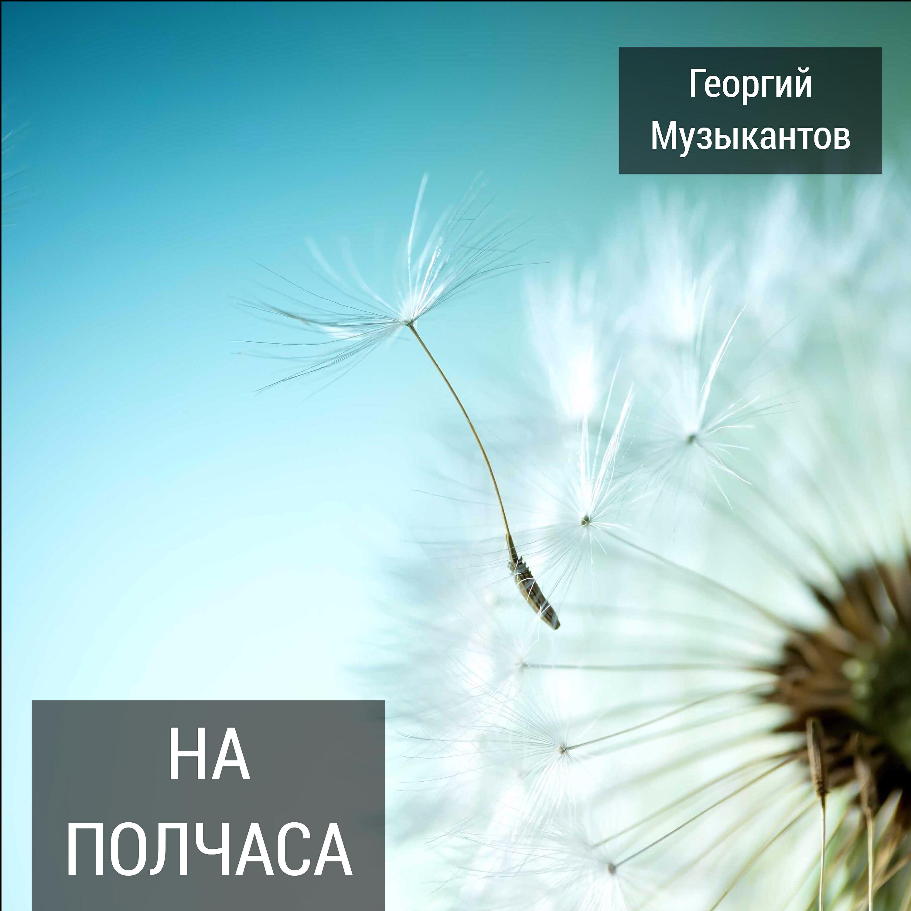 Георгий Музыкантов - На полчаса
