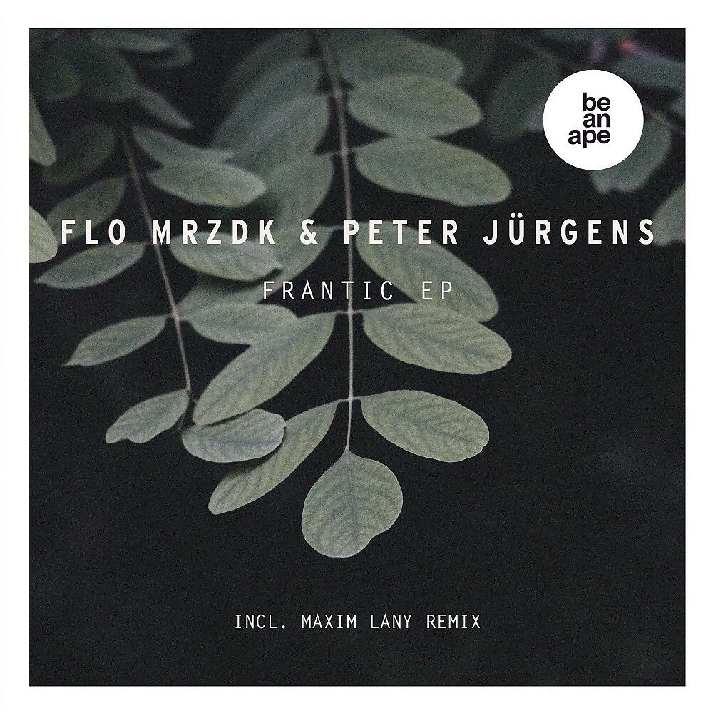 Flo Mrzdk & Peter Jürgens - Follow (Maxim Lany Remix)