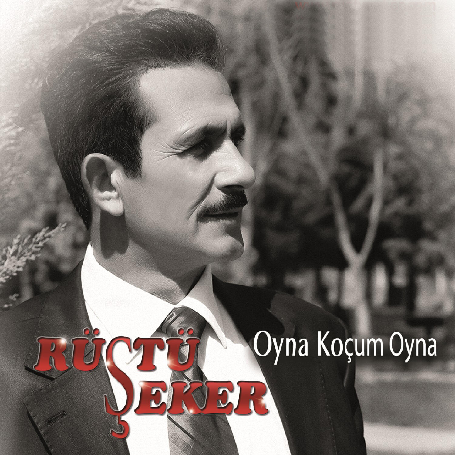 Rüştü Şeker - Kadınsız Ev