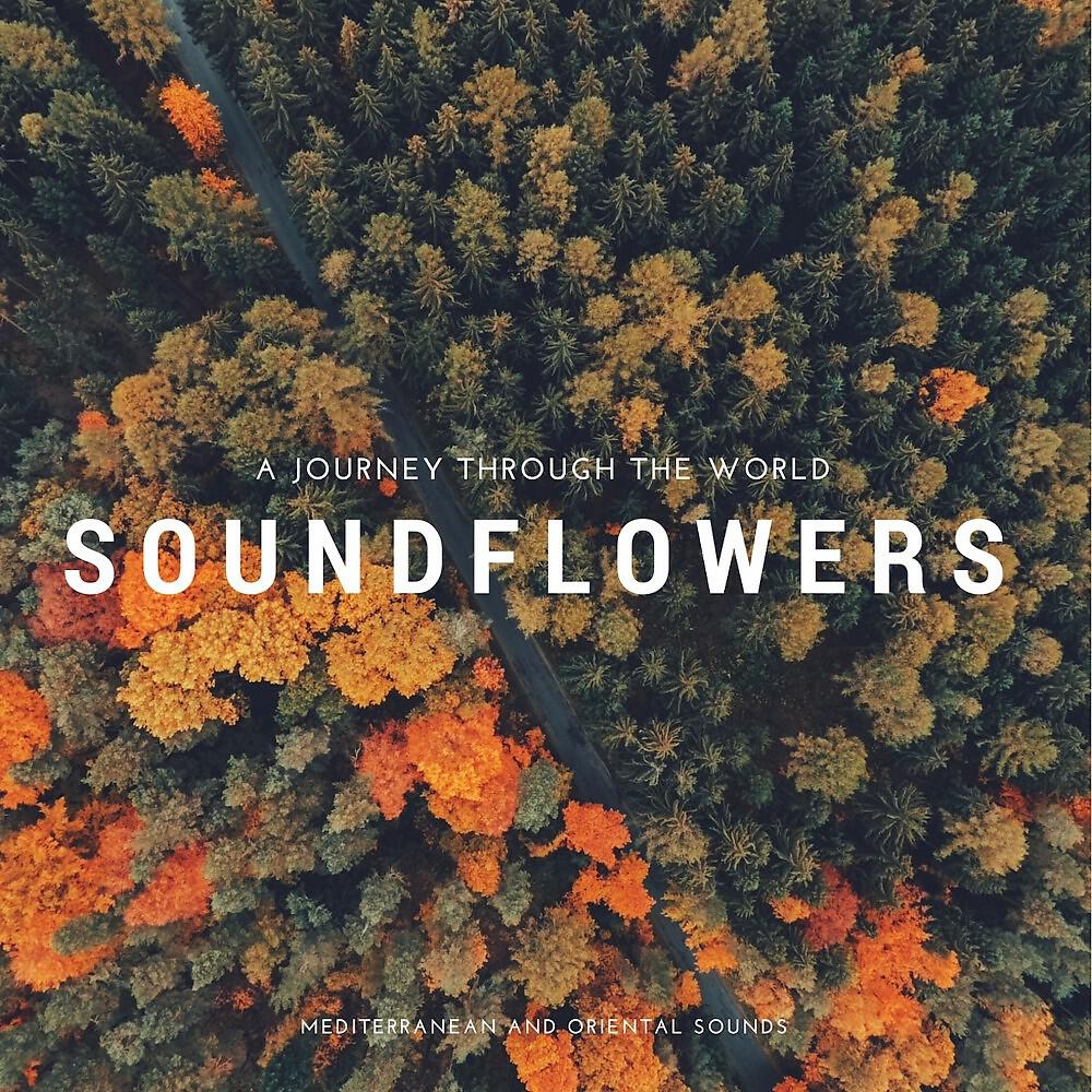 Soundflowers - Regarde Toi