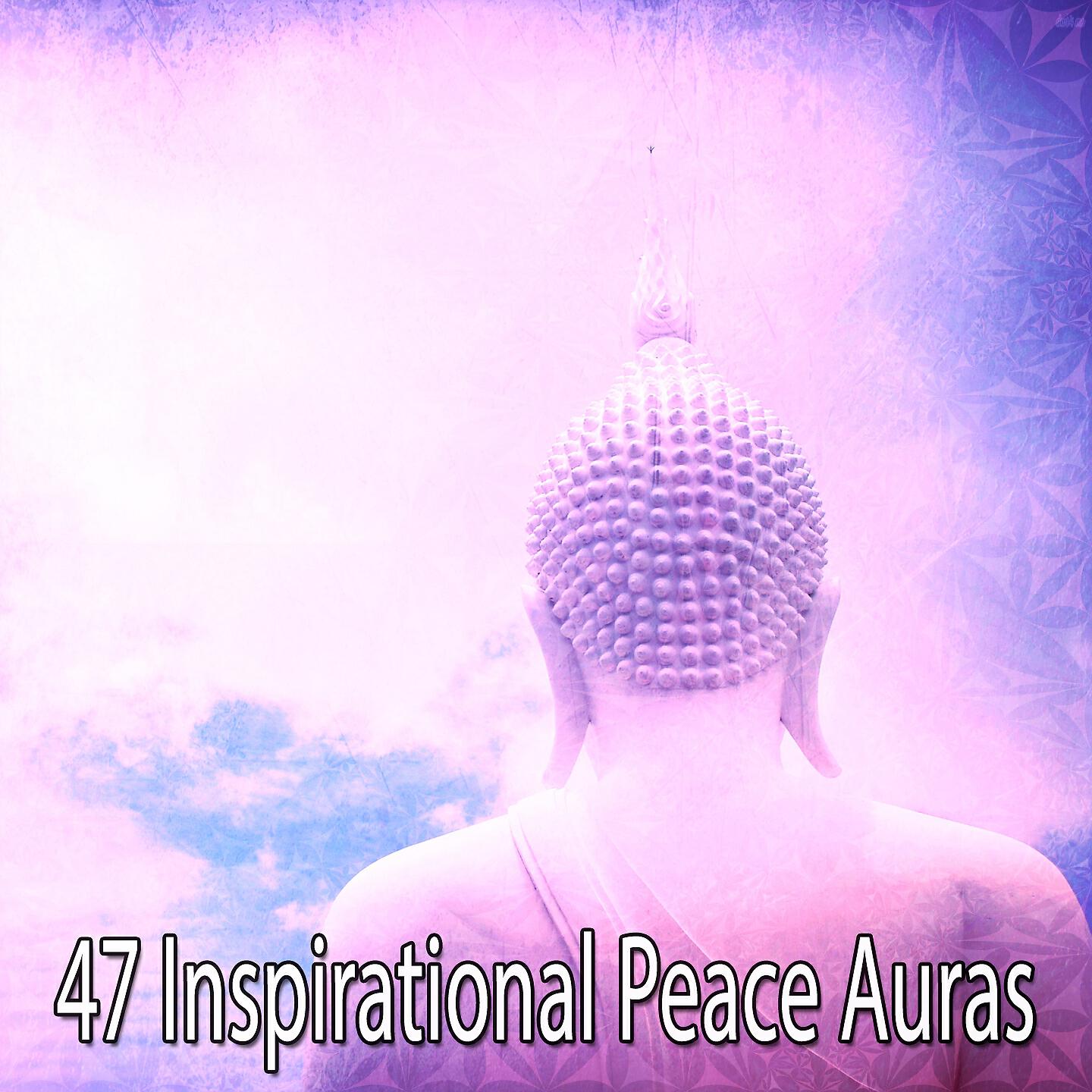 Asian Zen Spa Music Meditation - Streaming Gust
