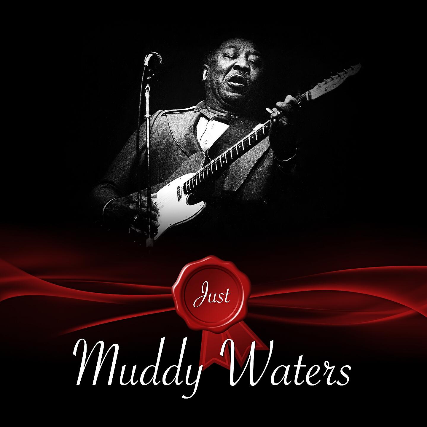Muddy Waters - She's So Pretty