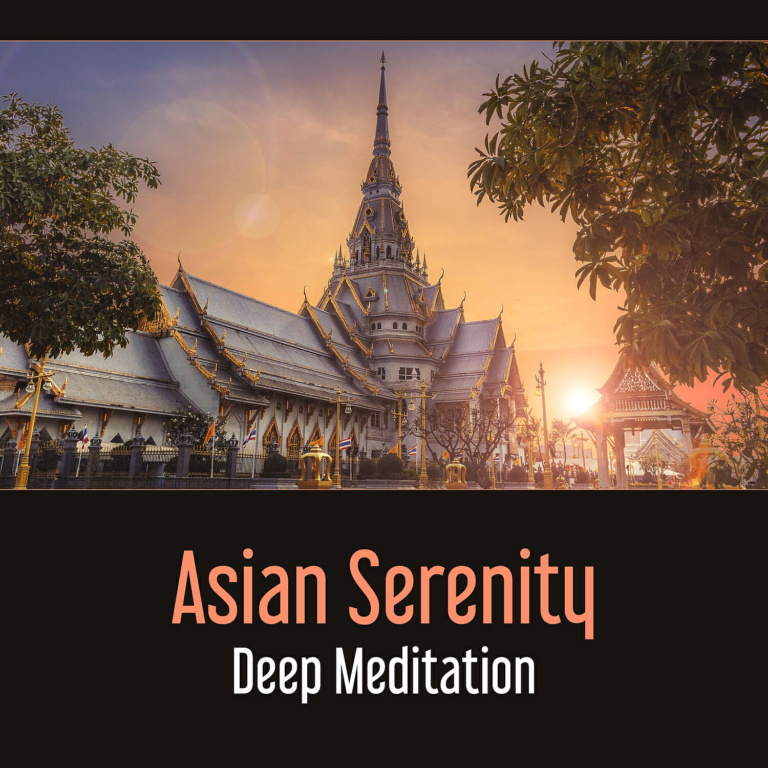 Asian Meditation Music Universe - Hang Drum – Fight Depression