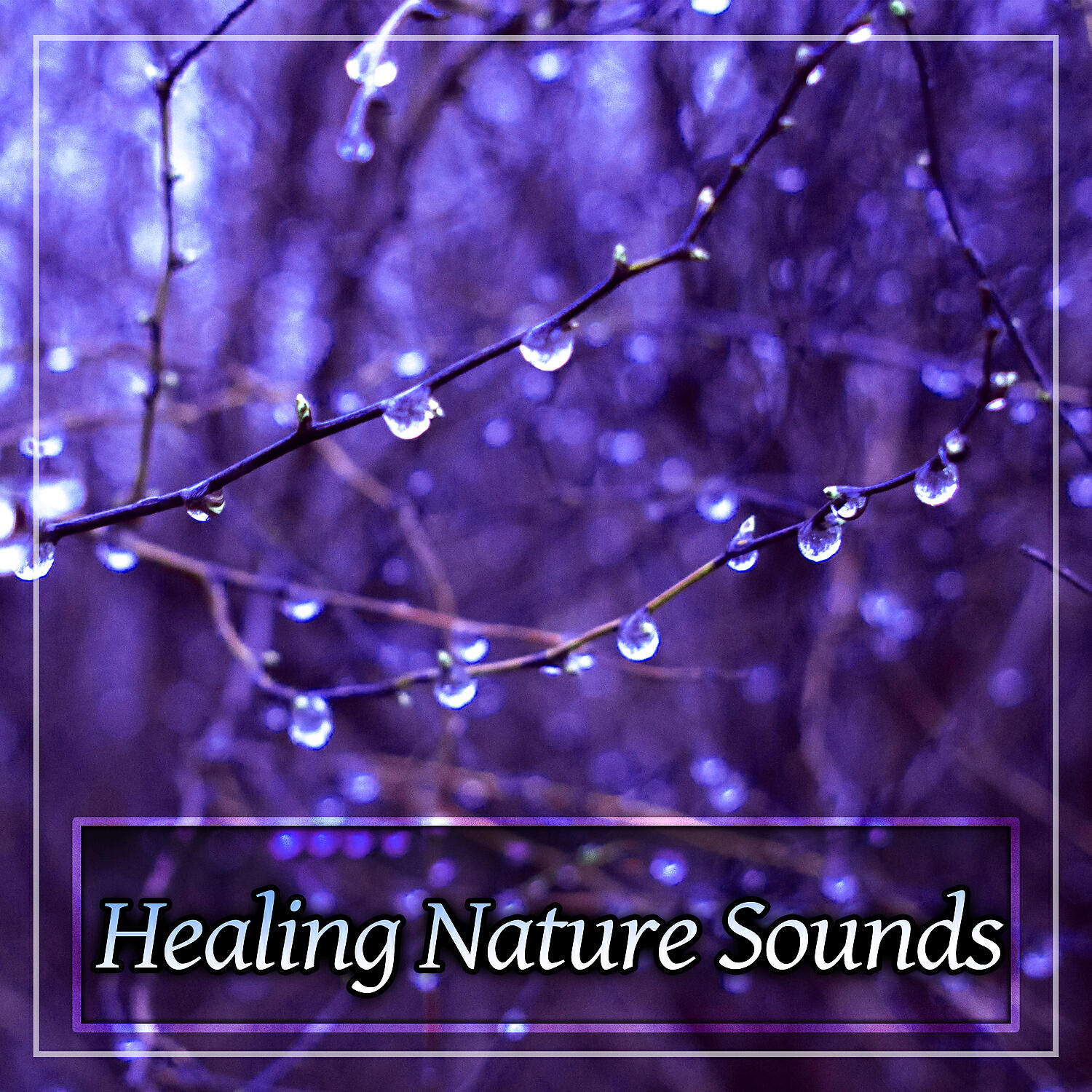 Echoes Of Nature - Nature Sounds