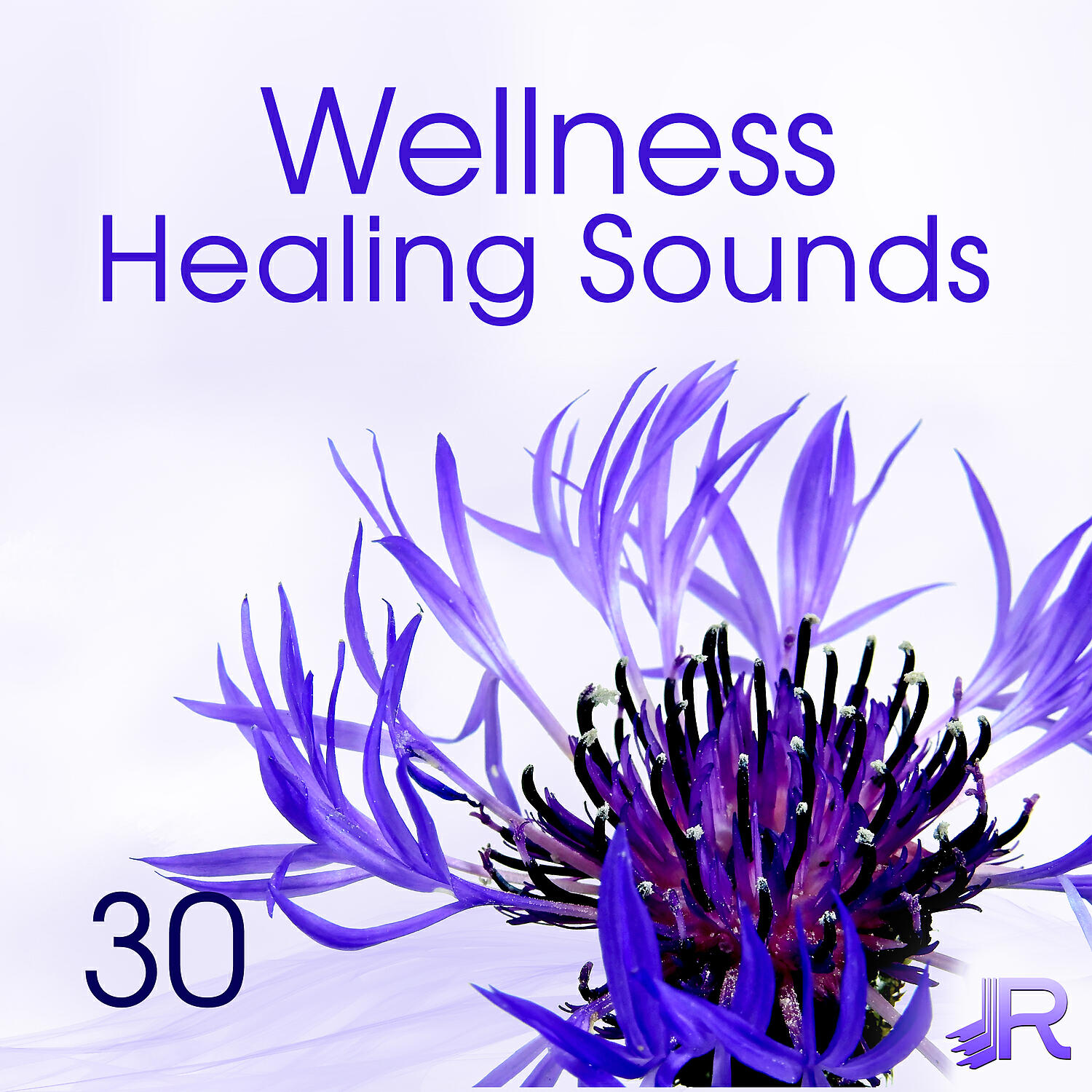 Wellness Spa Oasis - Crystal Healing and Pure Zen